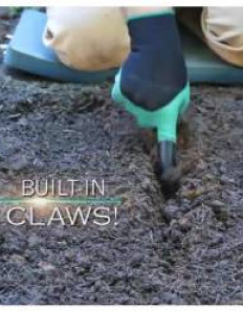 2353